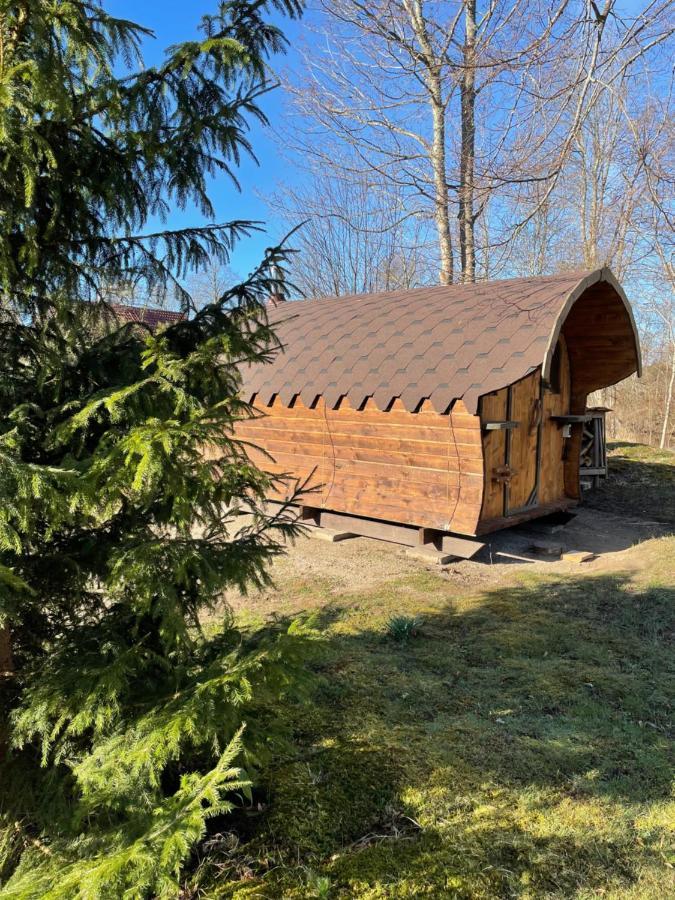 Oaze Gimenei Apartment Pavilosta Bagian luar foto